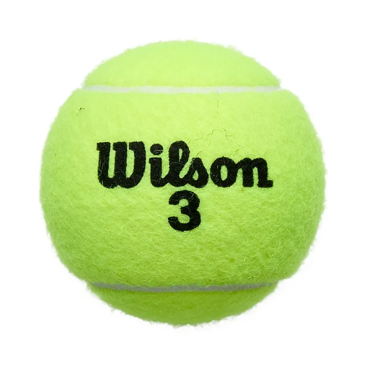 Mingi tenis Wilson RG All Court 4/cutie [2]