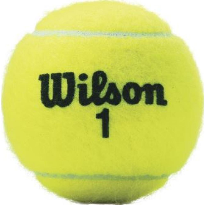 Mingi Tenis Wilson Championship Extra Duty 3PK [2]