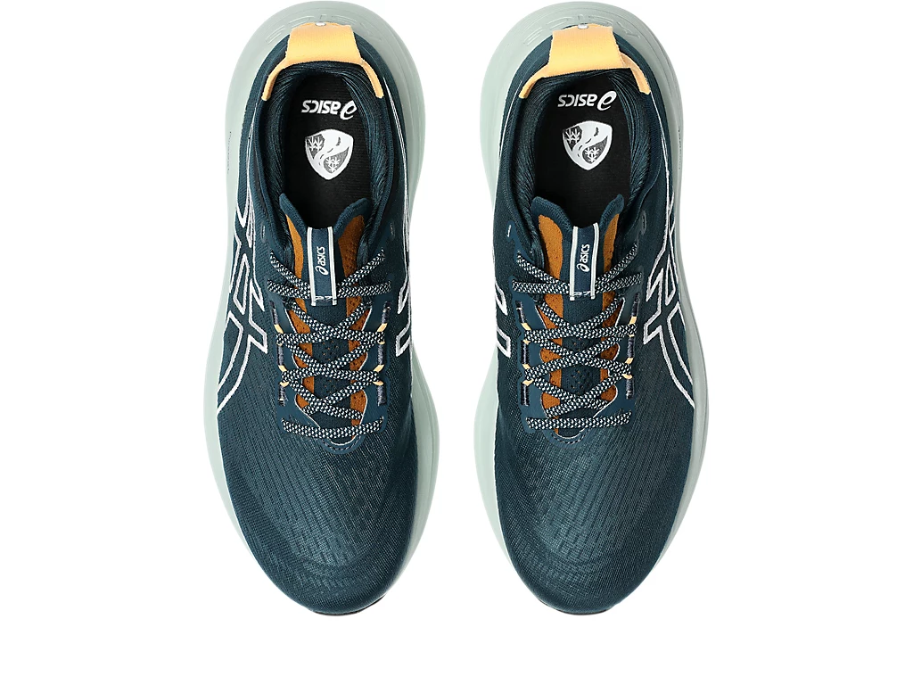 Pantofi Tenis Asics Gel-Nimbus 27 TR Nature Bathing/Teal [6]
