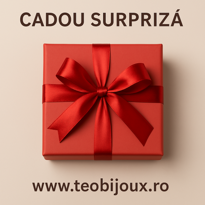 Cadou Surpriză TeoBijoux – Bijuterie din Argint 925 [1]