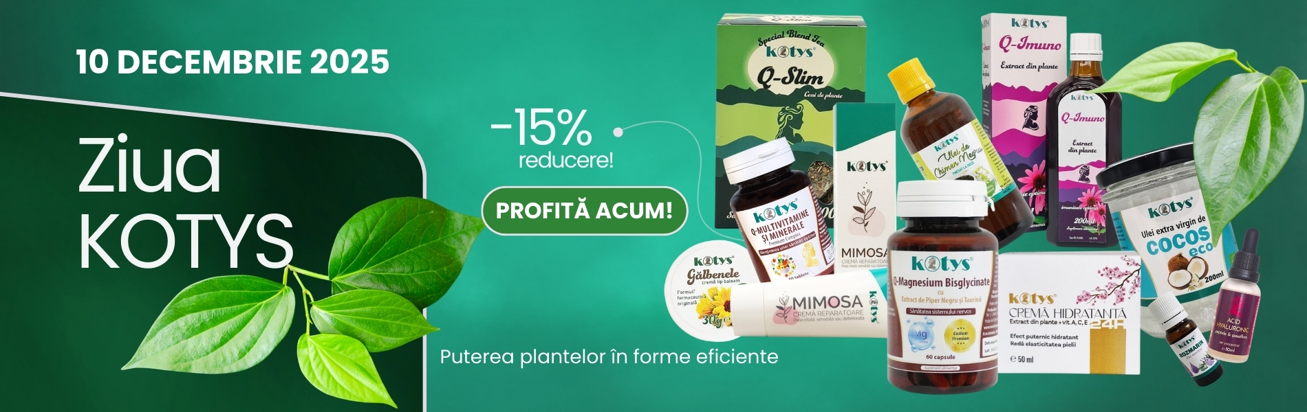 ZIUA KOTYS 10 DECEMBRIE