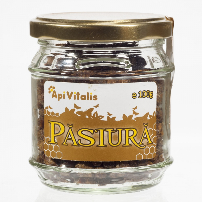 API VITALIS PASTURA 100G [1]