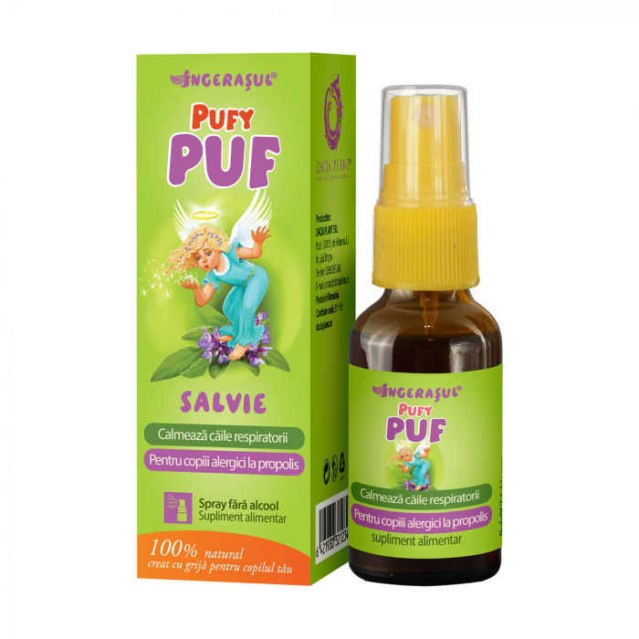 D PLANT PUFY PUF SALVIE SPRAY [1]
