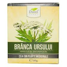DOREL CEAI BRANCA URSULUI 50 G [1]