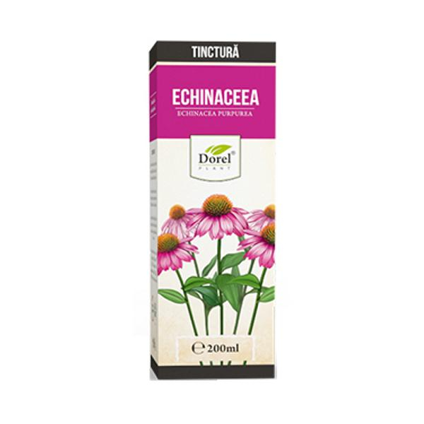 DOREL TIN ECHINACEEA 200ML [1]
