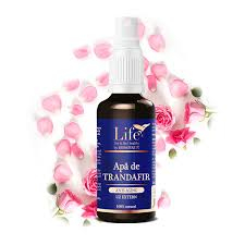 DVR APA DE TRANDAVIR 100 ML [1]