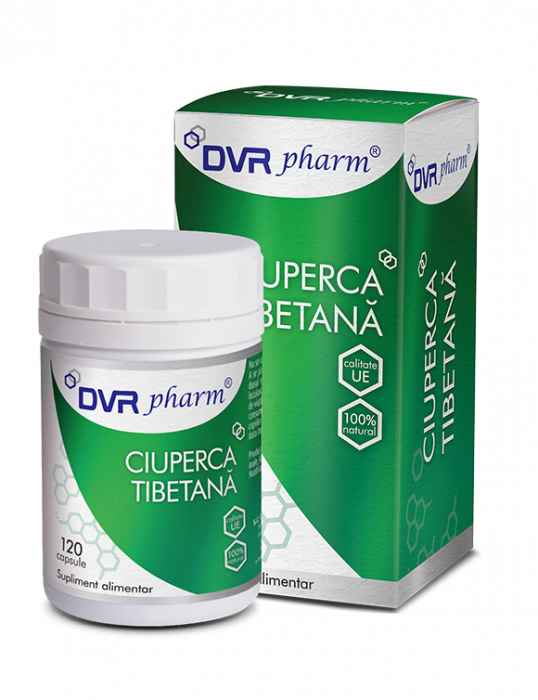 DVR  CIUPERCA TIBETANA 120 CPS [1]