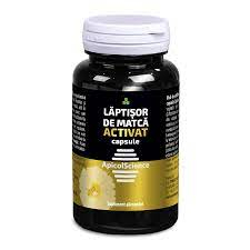 DVR LAPTISOR DE MATCA ACTIVAT 60 CPS [1]