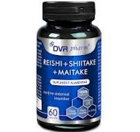 DVR REISHI + SHITACHE + MAITACHE 60 CPS [1]