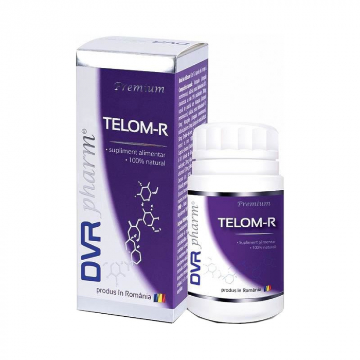 DVR TELOM-R 60CP [1]