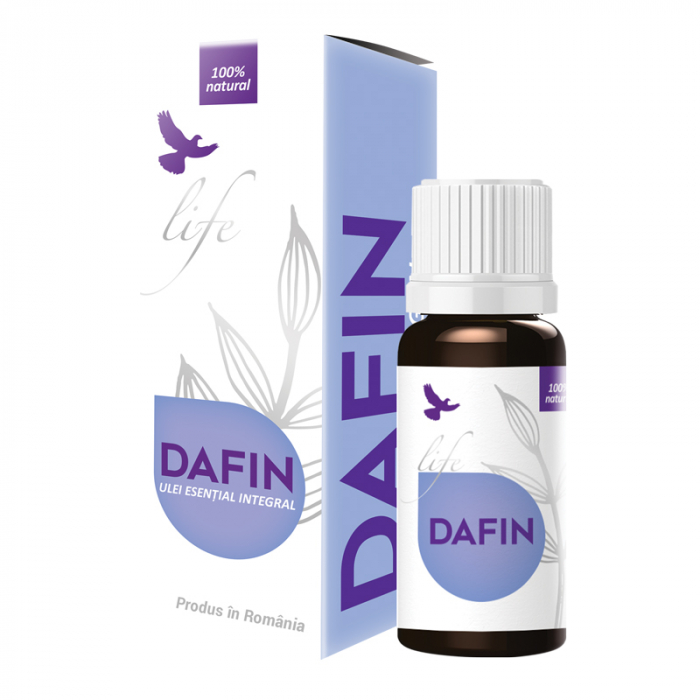 DVR UL INTEGRAL DAFIN [1]