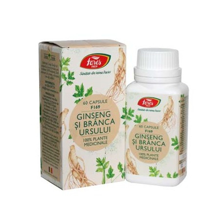 FARES CPS GINSENG + BRANCA URSULUI [1]