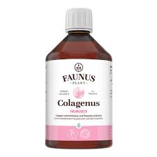FAUNUS COLAGENUS FRUMUSETE 500 ML [1]