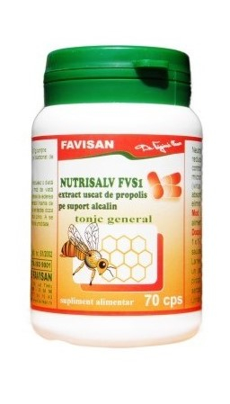 FVN NUTRISALV FVS1 TONIC GENERAL 70CP [1]