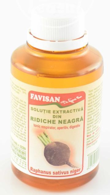 FVN SIROP RIDICHE 100ML [1]