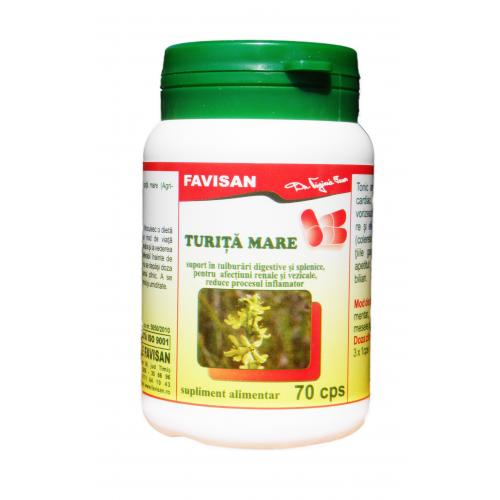 FVN TURITA MARE 70CP [1]