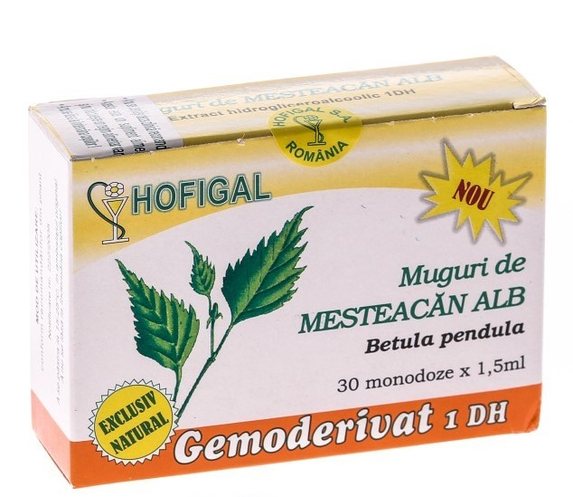 HOF GEMO MESTEACAN [1]