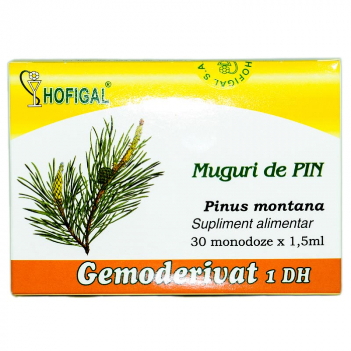 HOF GEMO PIN [1]