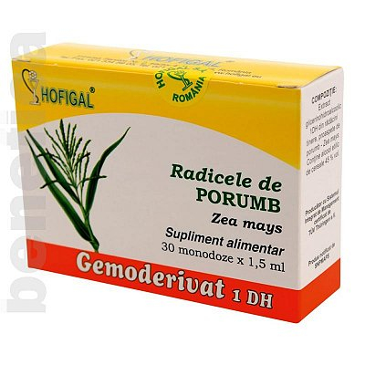 HOF GEMO RADICELE DE PORUMB [1]