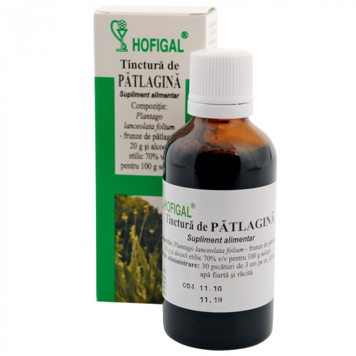 HOF TINCT PATLAGINA 50ML [1]
