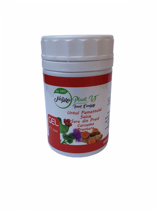 NP GEL UNTUL PAM +SALCIE +SARE PRAID +CURCUMA 250ML [1]