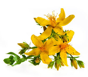 NP UNG BALSAMICA SUNATOARE 30ML [1]