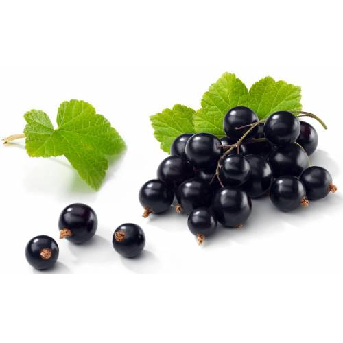 NSP COACAZE VRAC 1KG [1]