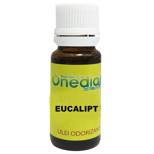 ONE ULEI ESENTIAL EUCALIPT 10 ML [1]