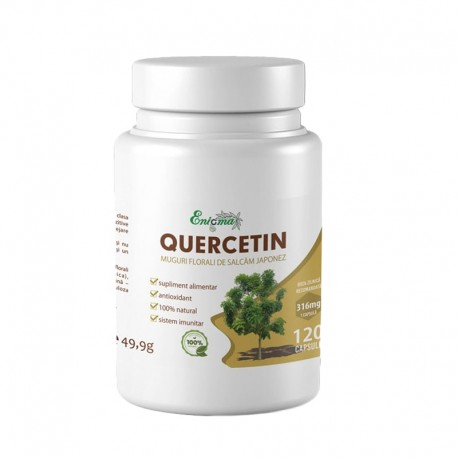 PROV SIBERIAN GINSENG NF 250MG 90 CPS [1]