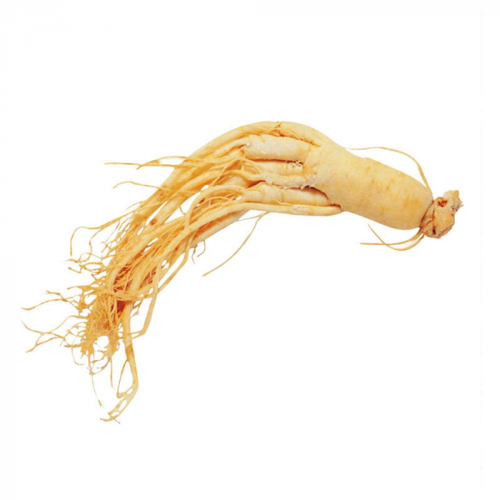SANYE RADACINA GINSENG 1 BUC [1]
