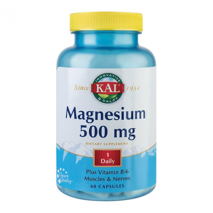 SECOM MAGNESIUM 500MG 60CP [1]