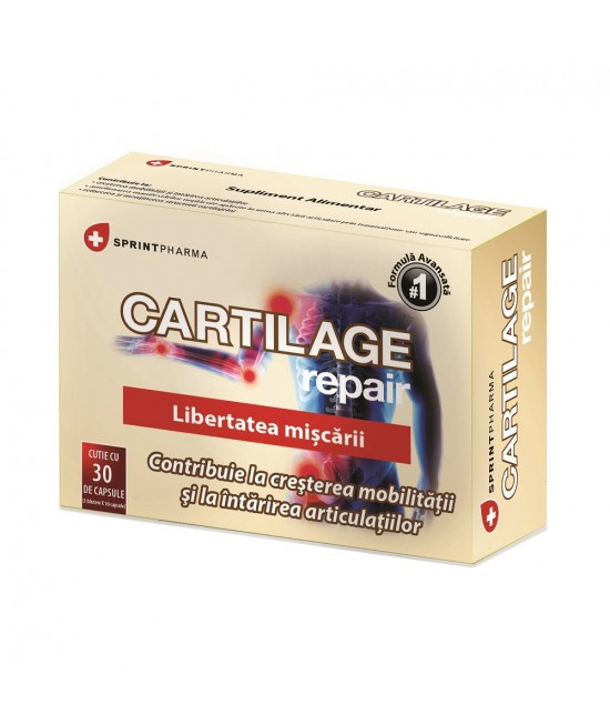 SPRINT CARTILAGE REPAIR 30CP [1]