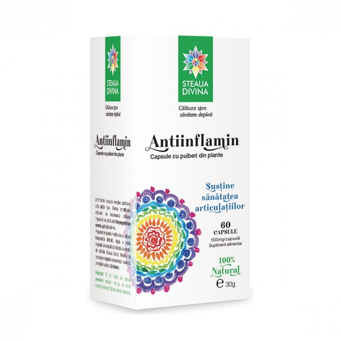 SR ANTIINFLAMIN 60CP [1]