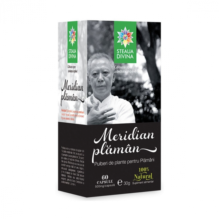 SR MERIDIAN PLAMAN 60CP [1]
