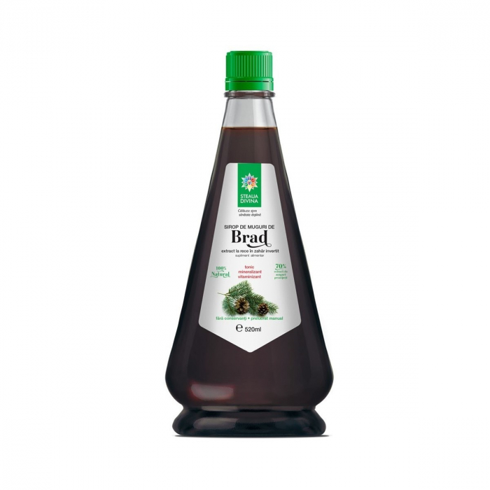SR SIROP BRAD MUG 520ML [1]