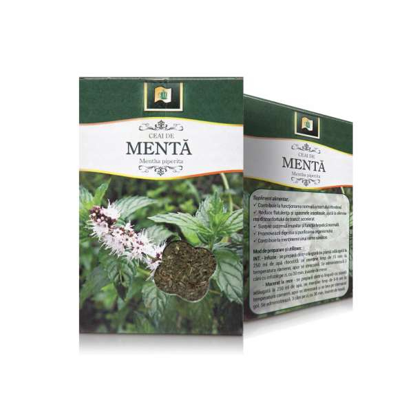 STEF MENTA 50G [1]