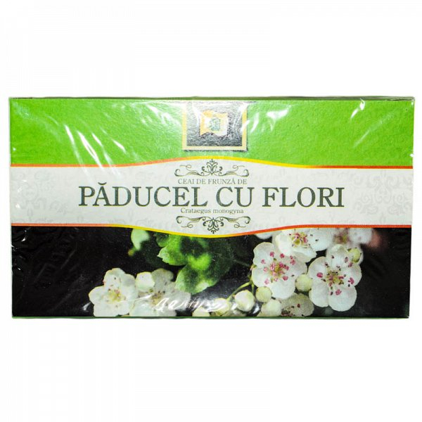 STEF PADUCEL DZ [1]