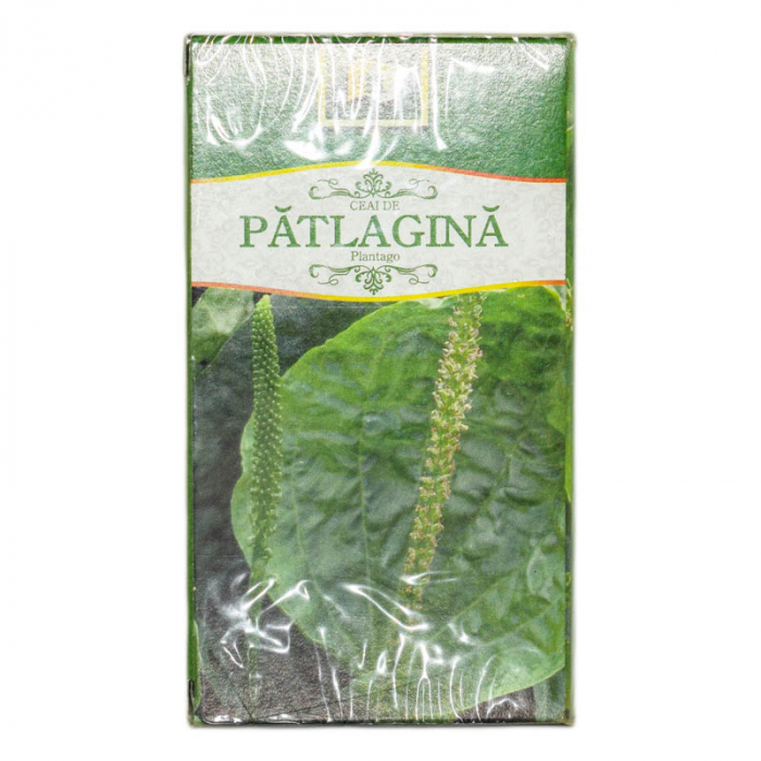 STEF PATLAGINA DZ [1]