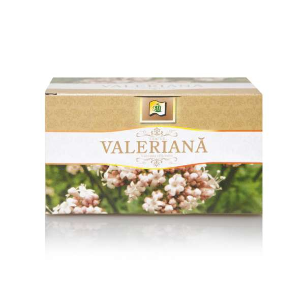 STEF VALERIANA DZ [1]