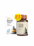 SUPLIMENTE POTENȚĂ - ALEVIA MASCULIN POTENT 30CP+GINSENG SIB