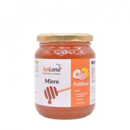 FOOD - APILAND MIERE POLIFLORA 500G
