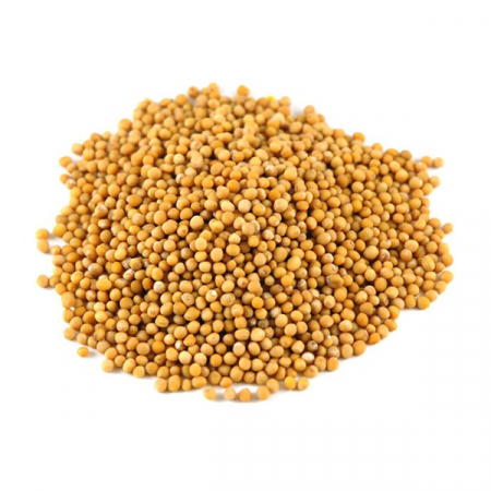 FOOD - DEP BOABE MUSTAR 500G