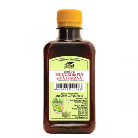 SIROPURI - DOREL SIROP MUGURI DE PIN SI PATLAGINA