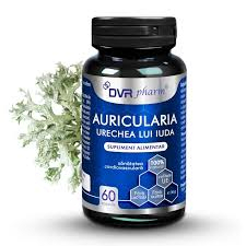 Import - DVR AURICULARIA -URECHEA LUI IUDA- 60 CPS