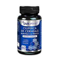 SUPLIMENTE DIABET - DVR CIUPERCA DE CERNEALA 60 CPS