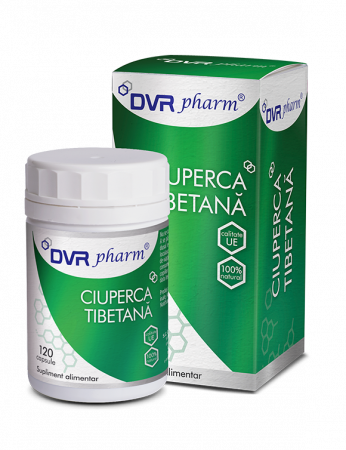 SUPLIMENTE ANTIOXIDANȚI-ANTITUMORAL - DVR  CIUPERCA TIBETANA 120 CPS