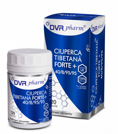 SUPLIMENTE ANTIOXIDANȚI-ANTITUMORAL - DVR CIUPERCA TIBETANA FORTE+ 120 CPS