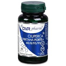BinaSmartBusiness - DVR CIUPERCA TIBETANA FORTE+ 60 CPS