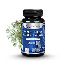 SUPLIMENTE ANTIOXIDANȚI-ANTITUMORAL - DVR MYCOBIOM MODULATOR 60 CPS