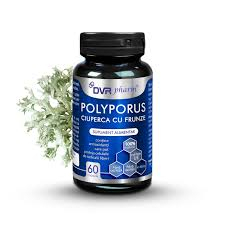 SUPLIMENTE ANTIOXIDANȚI-ANTITUMORAL - DVR POLYPORUS CIUPERCA CU FRUNZE 60 CPS